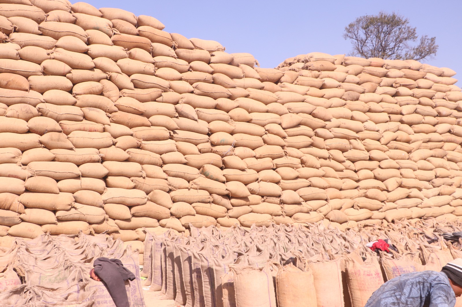 सूरजपुर में अब तक 2.34 लाख क्विंटल से अधिक की हुई धान खरीदीअवैध धान पर प्रशासन की सख्ती के लिए सीमाओं पर 24 घंटे की जा रही निगरानी